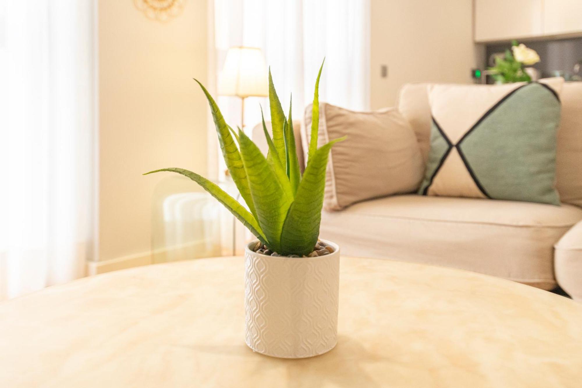 Souviron & Old Town By Ele Apartments Malaga Ngoại thất bức ảnh